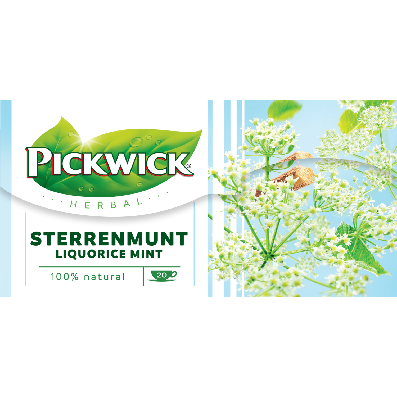 Pickwick Sterrenmunt Kruiden Thee Bestellen