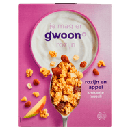 G'woon Krokante muesli appel rozijn