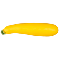 Hollandse Gele courgette