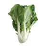 1 de Beste Paksoi