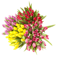 DekaMarkt Tulpen pastel mix