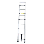 Aqua Laser telescoopladder