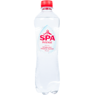 Spa Intense mineraalwater kzh gekoeld