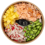 Healthy Hand Poke bowl zalm