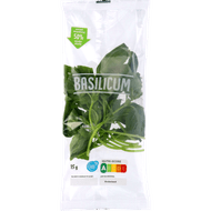 Basilicum