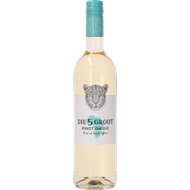 Die 5 Groot Pinot Grigio