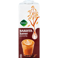 Melkan Haver barista