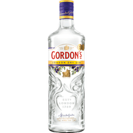 Gordon's Gin dry