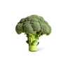 Broccoli los