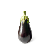 Aubergine