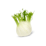 Venkel