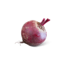 Bietjes los