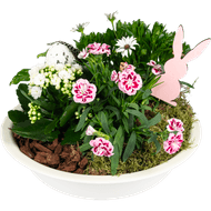 DekaMarkt Arrangement zinkenschaal voorjaar