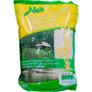 Alesie Surinaamse rijst