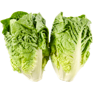 Bio+ Mini romaine