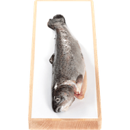 Vis Marine Hele forel