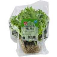1 de Beste Salatrio