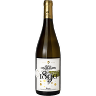Pasqua Prosecco Treviso DOC Spumante extra dry