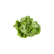 1 de Beste Kropsla