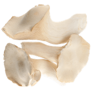 Foto van Bio koningsoesterzwam