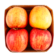 Bio royal gala Foto van Bio royal gala