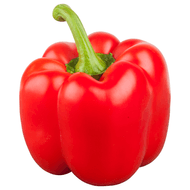 Paprika rood