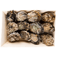 Premier Zeeuwse oesters mandje