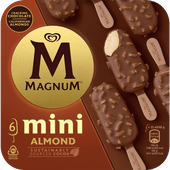 Ola Magnum mini almond 6 stuks