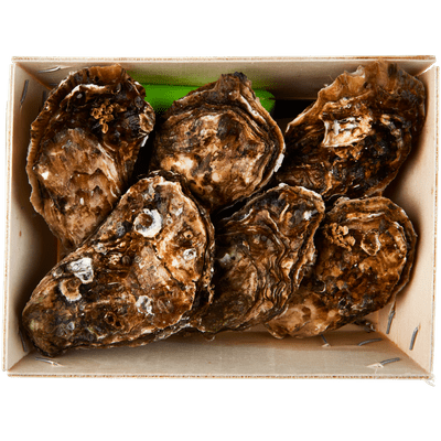 Premier Zeeuwse oesters nr 3 6 stuks