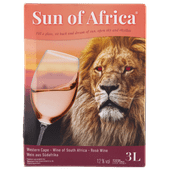 Sun of Africa Rose 