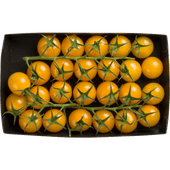 1 de Beste Gele mini tros cherry tomaten 