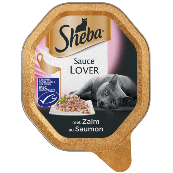 Foto van Sheba Sauce lover zalm op witte achtergrond