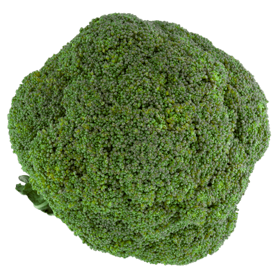 Bio+ Biologische broccoli