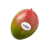 Grote mango 