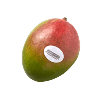  Grote mango