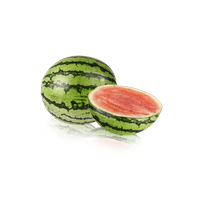  Baby watermeloen