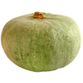 Grijze pompoen 