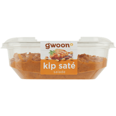 G'woon Salade kip-sate