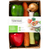 Fresh & easy Verspakket teriyaki