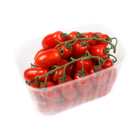 Mini San Marzano tomaten schaal