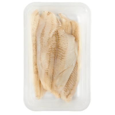 Hoogland Scholfilet vers