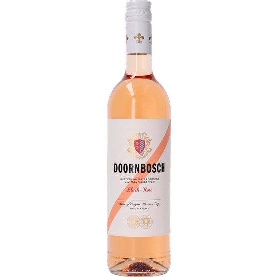 Foto van Doornbosch Rose op witte achtergrond