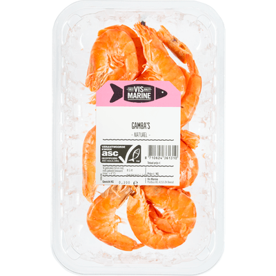 Vis Marine Gamba naturel
