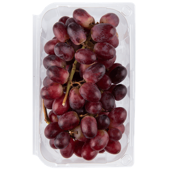 1 de Beste Pitloze rode druiven 