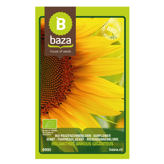 Foto van Baza zaden bloemen op witte achtergrond
