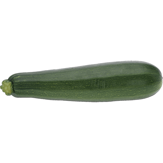 Foto van Bio+ Biologische courgette op witte achtergrond