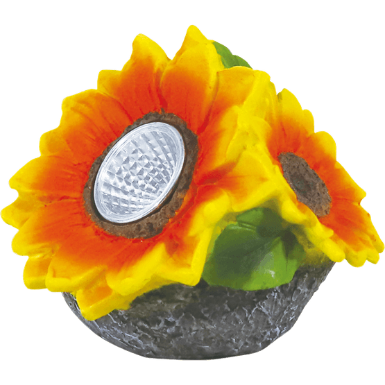 Foto van Solar bloemverlichting op witte achtergrond