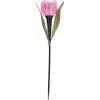 Thumbnail van variant Solarlamp tulp
