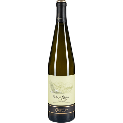 Concilio Pinot grigio trentino