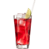 Thumbnail van variant Coebergh Red Fruit bessen
